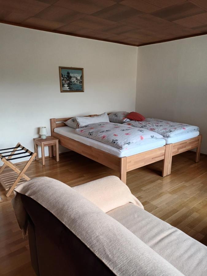 Buedingen-Ferienwohnung Bausch Bagian luar foto